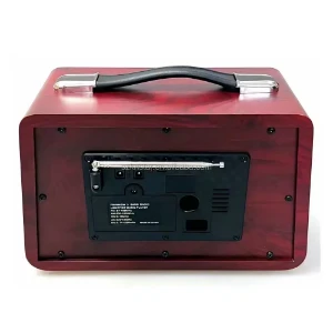 صورة راديو ومكبر صوت عتيق من طراز Raiseng R-1956BT